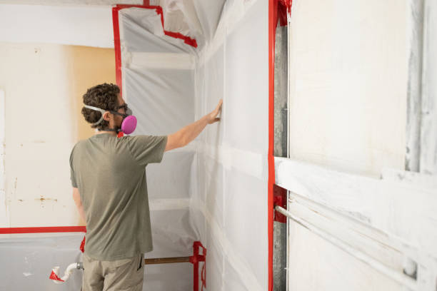 Best Residential Mold Inspection & Testing  in Royal Oak, MI