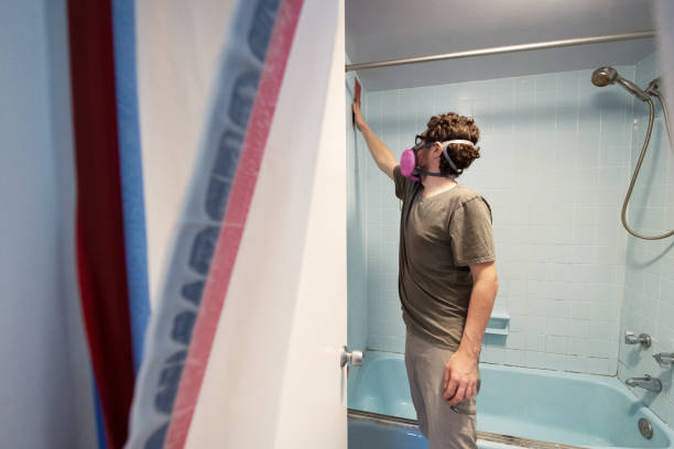 Best Mold Remediation for Vacation Homes  in Royal Oak, MI