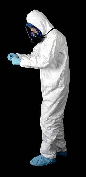 Best Basement Mold Removal  in Royal Oak, MI