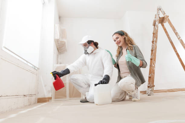Best Mold Damage Restoration  in Royal Oak, MI