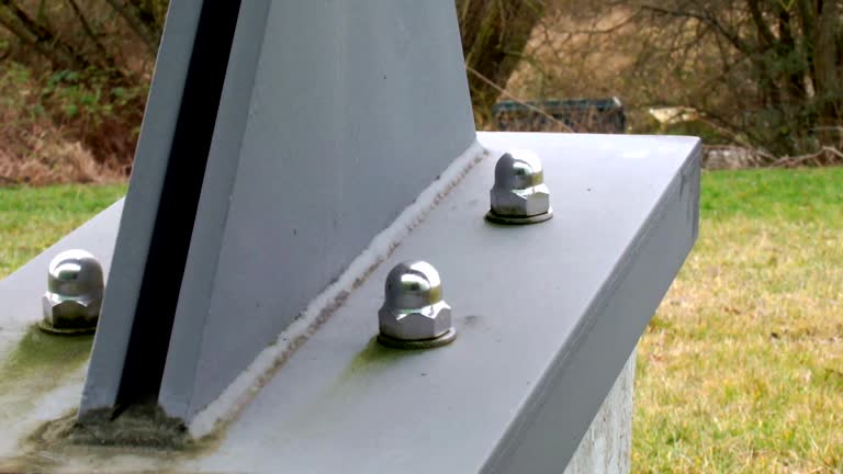 Best Comprehensive Air Testing for Mold Contaminants  in Royal Oak, MI