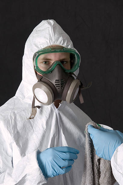Best Commercial Mold Inspection  in Royal Oak, MI